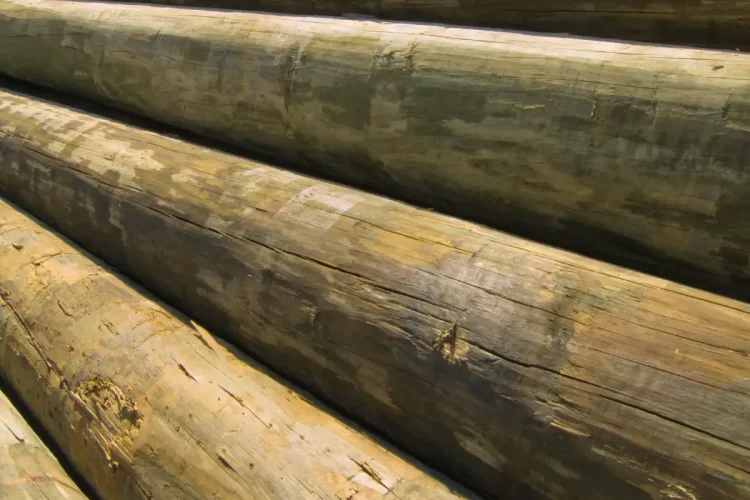 Utility Treated Pole